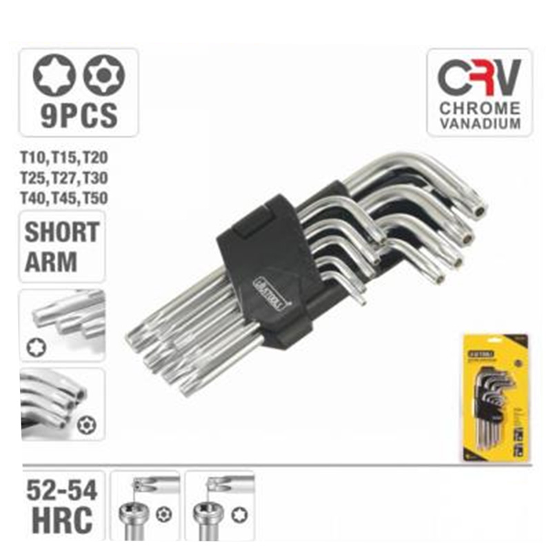 Jeu de 9 Clés Mâles Torx (Étoiles) T10-T50